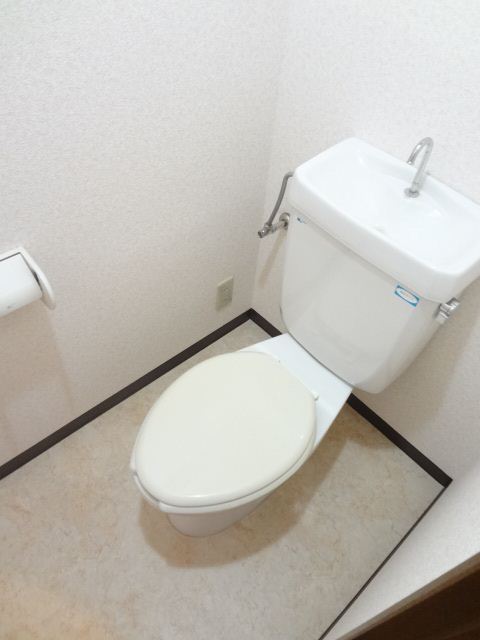 Toilet. Toilet with cleanliness