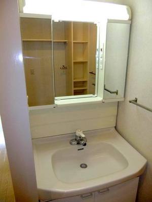 Washroom. Bathroom vanity