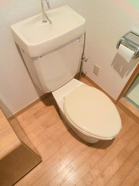 Toilet. Toilet