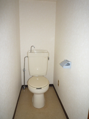 Toilet. Toilet (reference photograph of another in Room)