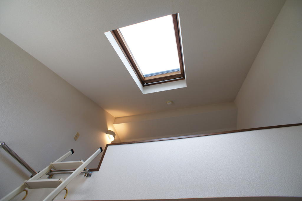 Other. Skylight