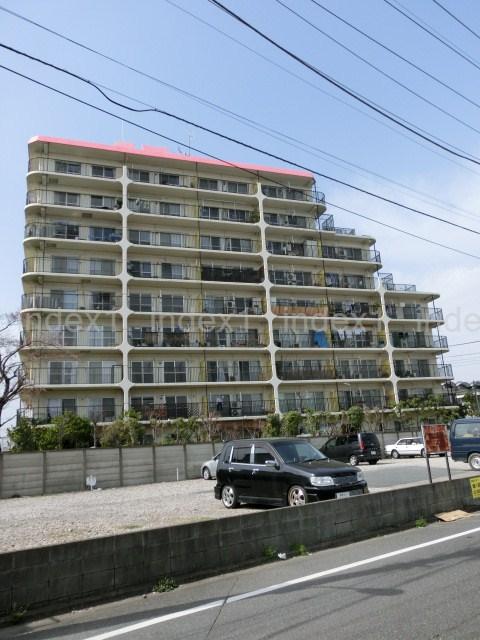 Local appearance photo. This is a new interior full renovation