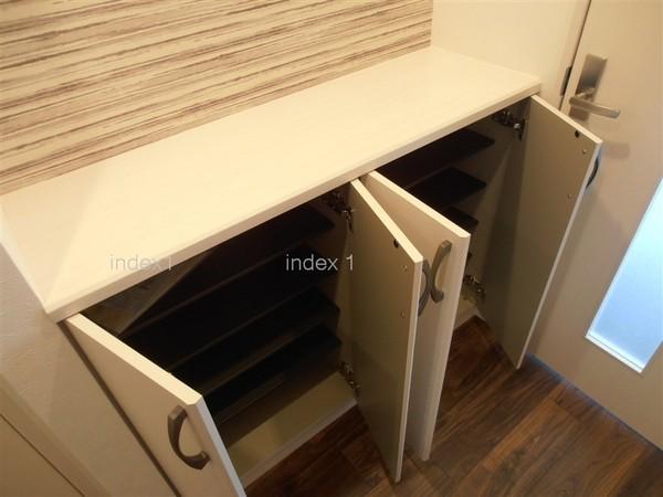 Receipt. Also Katazuki neat shoes