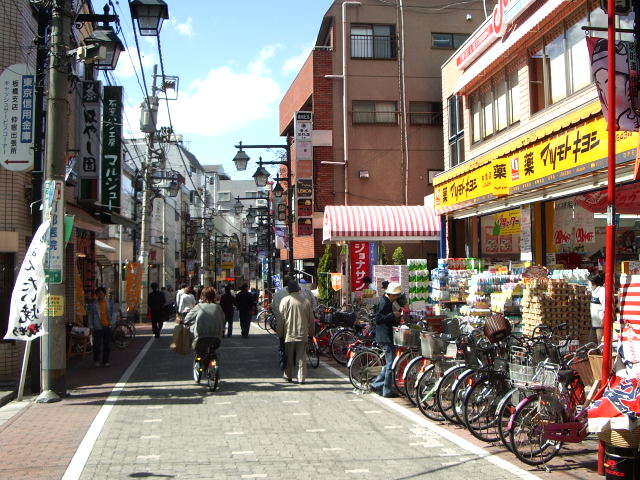 Other. It is convenient to shopping there is close to Nakajuku mall