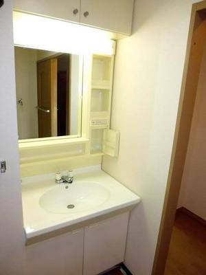 Washroom. Vanity with storage space