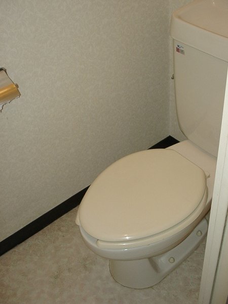 Other. Toilet