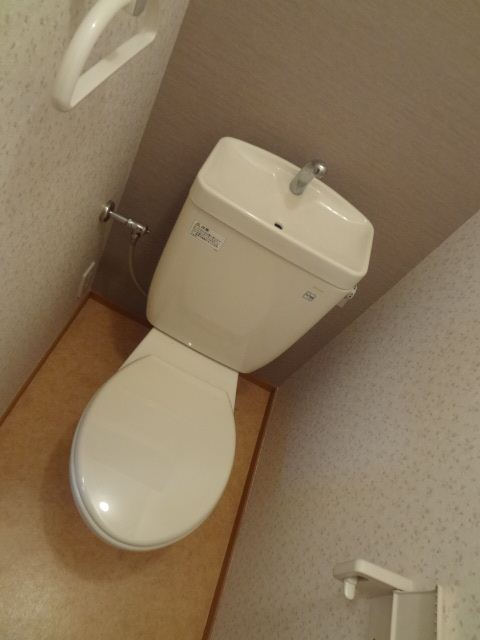 Toilet. Toilet with cleanliness