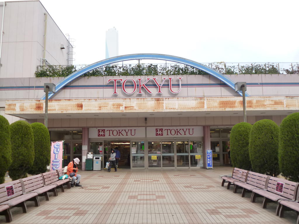 Shopping centre. 482m until the light on Takashimadaira Tokyu Store Chain store (shopping center)