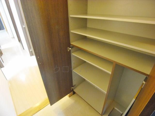 Entrance. Footwear purse