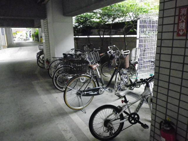 Parking lot. Bicycle-parking space