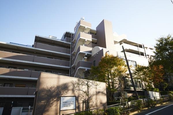 Local appearance photo. Local (11 May 2013) Shooting