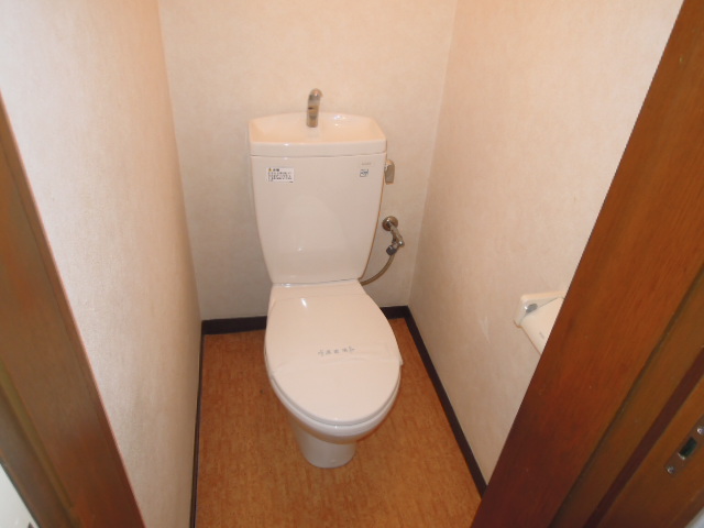 Toilet. (See photo)