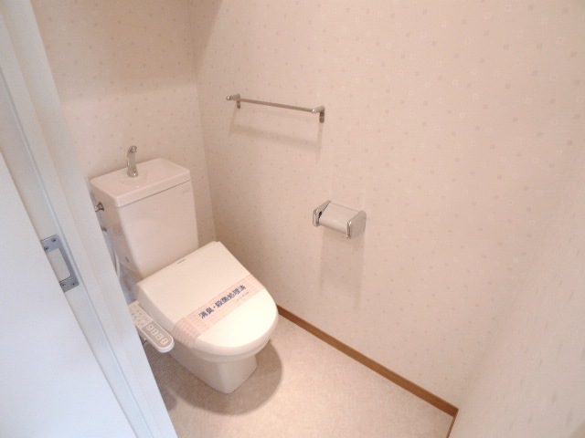 Toilet. Whopping popular Washlet