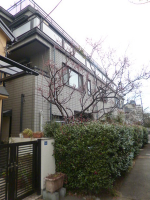 Building appearance. For further information, please contact Nichiwa Ikebukuro (D) 03-3985-2101