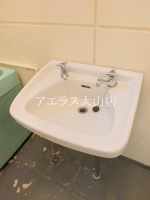 Washroom. Wash basin