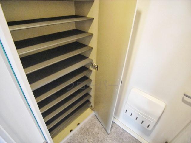 Entrance. Footwear purse