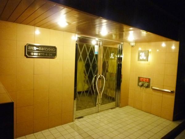 Local appearance photo. Bright entrance at night