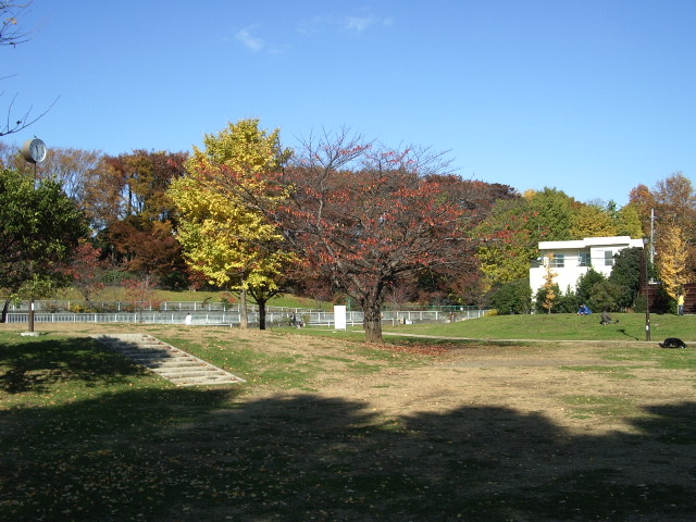 park. 300m until Johoku park (park)