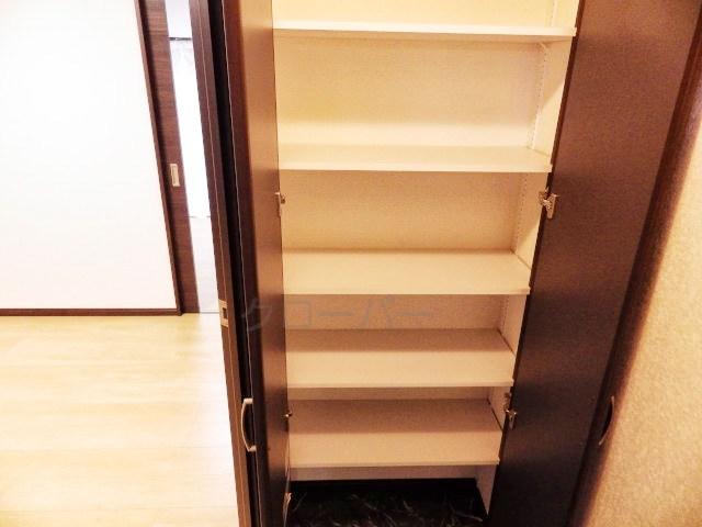 Entrance. Footwear purse