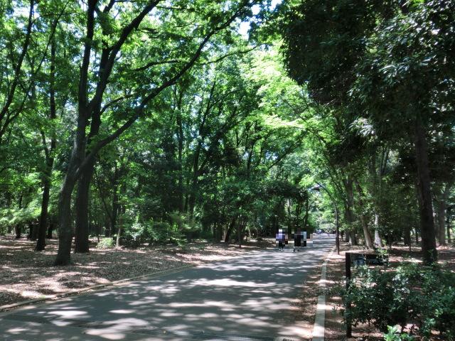 park. 1600m to Hikarigaoka park (park)