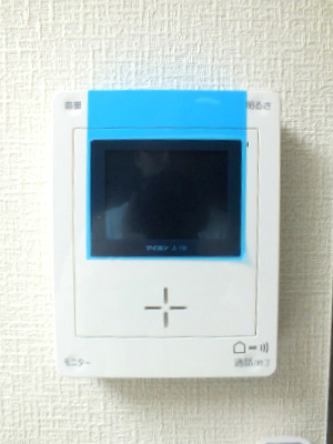 Security. Monitor with intercom