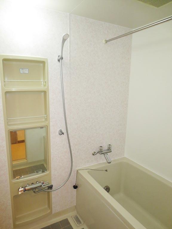 Bathroom. Bathroom (12 May 2013) Shooting