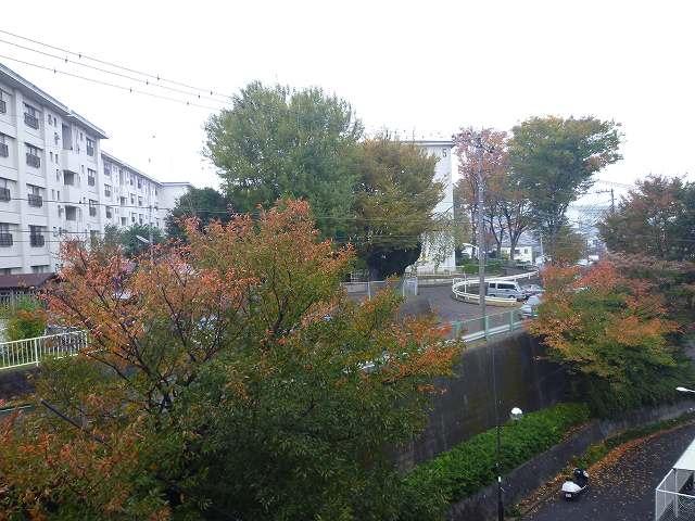 View photos from the dwelling unit. Autumn leaves Masu fun Me in the fall.
