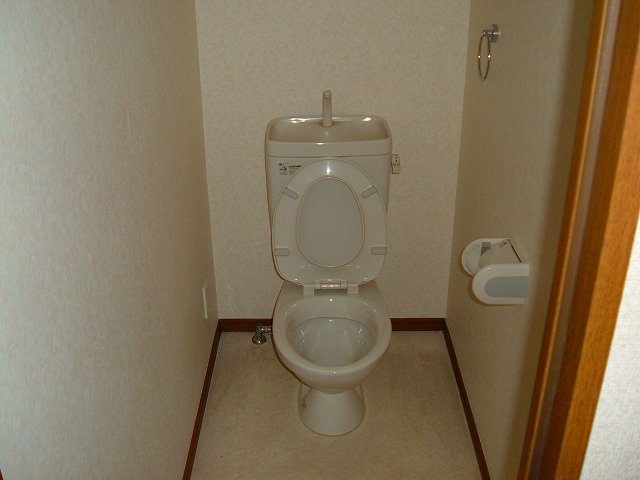 Toilet. Spacious toilet.