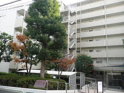 Local appearance photo. appearance