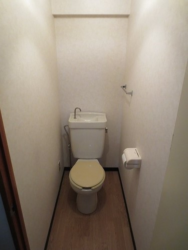 Toilet. Toilet