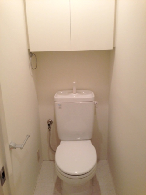 Toilet. Toilet with storage