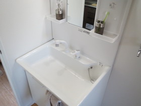 Washroom. Model room implementation in