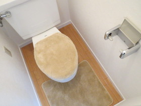 Toilet. Model room implementation in