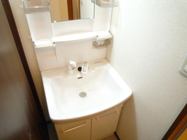 Washroom. Shampoo dresser