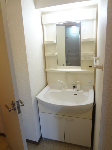 Washroom. Shampoo dresser