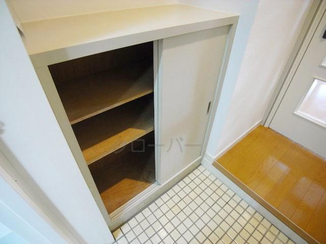 Entrance. Footwear purse