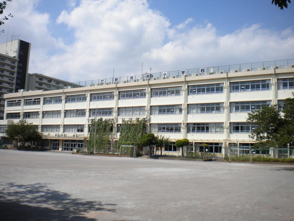 Primary school. 546m until Itabashi Shingashi Elementary School
