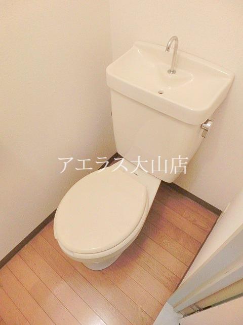 Toilet. Toilet