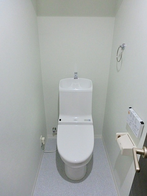 Toilet. Toilet