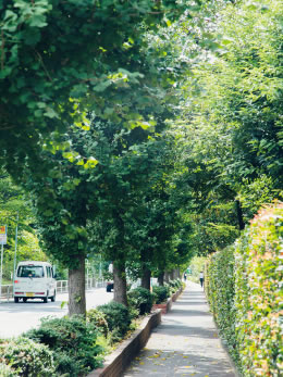 Surrounding environment. Azusawa Cityscape (W: about 820m ・ Walk 11 minutes / E: about 1020m ・ Walk 13 minutes). Street trees are planted, Streets of sidewalk is that easy to walk in place Azusawa. Less up and down the hill, Smoothly move of using a bicycle or stroller.