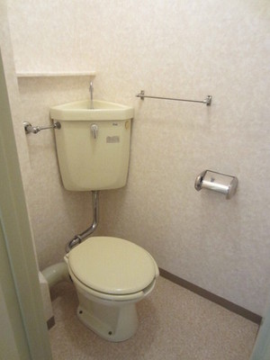 Toilet. Toilet