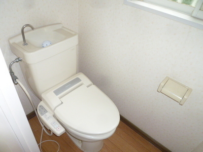 Toilet. Toilet (reference photograph of another in Room)