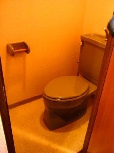 Toilet