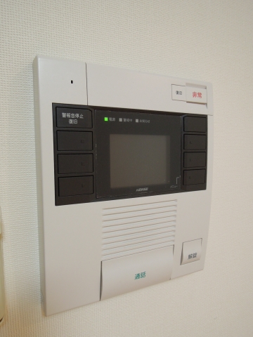 Security. Intercom with TV monitor