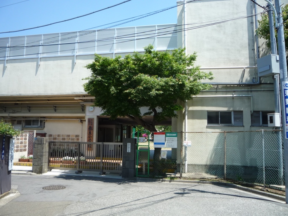 Primary school. 257m until Yayoi elementary school (elementary school)
