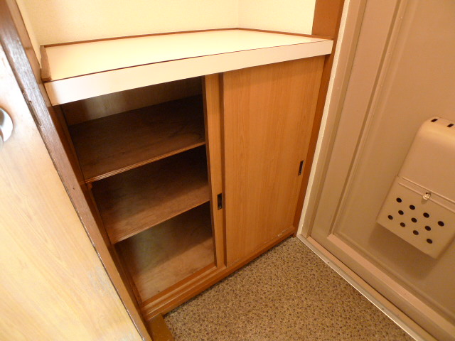 Entrance. Since the cupboard you can entrance around neat storage.