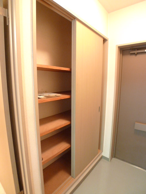 Entrance. Amount of storage of safely in a large cupboard there your family move to the front door