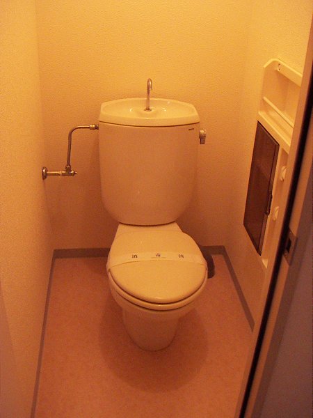 Other. Toilet