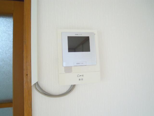 Security. Intercom with TV monitor