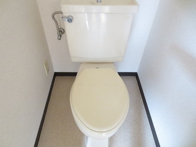 Toilet. Toilet (Other Room No. same floor plan reference photograph)